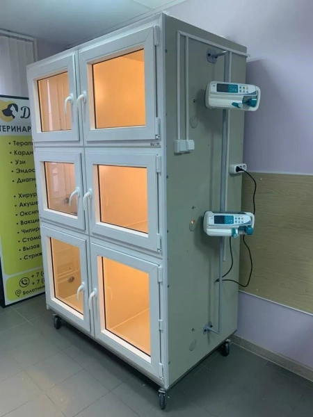 ТД ВЕТ Модуль клеток из полипропилена для инфекционного стационара, 3х ярусный из 6 клеток 2/2/2, 1400х800х2000(2140)h