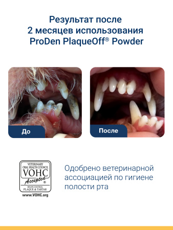 ProDen PlaqueOff средство для профилактики зубного камня у кошек 40 г