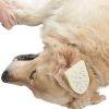 KRUUSE BUSTER гемостатическая губка 12 х 8 см.