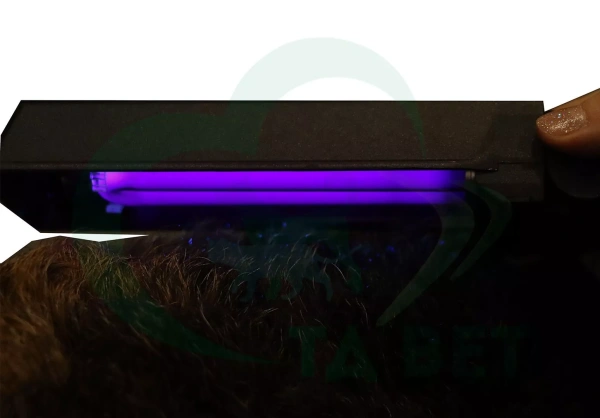 ТД ВЕТ Осветитель люминесцентный диагностический NEXT (Лампа Вуда)