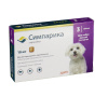 Zoetis Симпарика, жевательные таблетки для собак весом от 2,6-5кг, 10 мг, 3 таб.