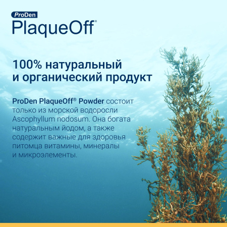 ProDen PlaqueOff средство для профилактики зубного камня у кошек 40 г